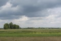 Beautiful colourful agriculture field under the dark cloudy sky during summer season Royalty Free Stock Photo