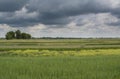 Beautiful colourful agriculture field under the dark cloudy sky during summer time Royalty Free Stock Photo