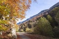 Beautiful colourful autumn landscape in the Jura Mountains. Hiking path with orange trees on sunny day Royalty Free Stock Photo