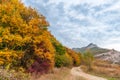 Beautiful colourful autumn landscape in mountains with countryside road Royalty Free Stock Photo