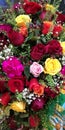 Beautiful and colourful Ethiopian roses.