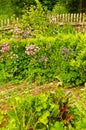 A beautiful colourful farmers garden, typical for Germanys countrysides