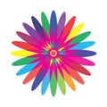 Beautiful colourful flower design