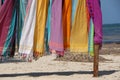 Beautiful colourful scarfes