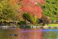 London parks in autumn, England Royalty Free Stock Photo