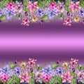 Beautiful columbine flowers or aquilegia and exotic monstera leaves on purple background.