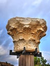 Beautiful Column capital of Corinthian style original from Roman times in Cesarea Israel