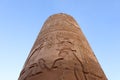 beautiful column with pharaonic carvings in Kom Ombo temple Royalty Free Stock Photo