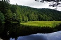 Beautiful combination of black, green and blue at Lac de Lispach Royalty Free Stock Photo