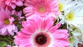 A beautiful combination of daisies and Barberton Daisy
