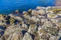 Beautiful combination of rocks and stones with moss on the coast of Almeria Spain