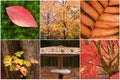 Beautiful compilation of Autumn Fall images