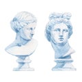 Beautiful composition with antique statue head bust of the Greek goddess Aphrodite. Stock clipart watercolor hand drawn