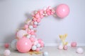 Beautiful composition with balloons and spikelets near wall