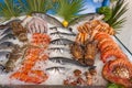 Seafood on ice Royalty Free Stock Photo