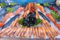 Seafood on ice Royalty Free Stock Photo