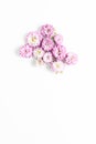 Beautiful composition of fresh aster pink color flowers on a white background. flat lay, space for text
