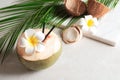 Beautiful composition with fresh green coconut Royalty Free Stock Photo