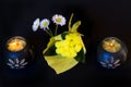 Beautiful composition with lighted ethnic candles, daisies and mimosa on a black background