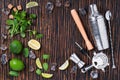 Beautiful compositionÃÂ of mojito ingredients Royalty Free Stock Photo