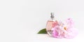 Beautiful composition with perfume and flowers. Perfume bottle, pink flowers peonies green leaves on light background Flat lay Royalty Free Stock Photo