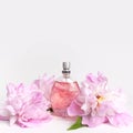 Beautiful composition with perfume and flowers. Perfume bottle, pink flowers peonies green leaves on light background Flat lay Royalty Free Stock Photo