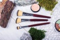Beautiful composition: professional make-up brushes, equipment and decorative elements Royalty Free Stock Photo