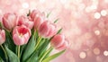 Beautiful composition spring flowers Bouquet of pink tulips flowers on pastel pink background