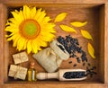 Beautiful composition with sunflower, oil and seeds in bags on wooden background Royalty Free Stock Photo