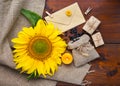 Beautiful composition with sunflower and seeds on wooden background Royalty Free Stock Photo