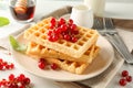 Beautiful composition with sweet belgian waffles Royalty Free Stock Photo