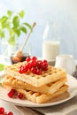 Beautiful composition with sweet belgian waffles Royalty Free Stock Photo