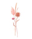 Beautiful bouquet composition with watercolor herbarium wild dried grass in pink and yellow colors. Stock illustration.