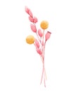 Beautiful bouquet composition with watercolor herbarium wild dried grass in pink and yellow colors. Stock illustration.