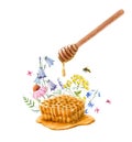 Beautiful composition with watercolor hand drawn honey with spoon and flowers. Stock illustration.