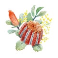 Watercolor australian banksia floral composition Royalty Free Stock Photo