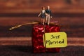 Just married Royalty Free Stock Photo