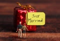 Just married Royalty Free Stock Photo