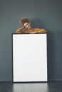 A beautiful confident woman holding a blank whiteboard or billboard sign with copy space. Happy and attractive female Royalty Free Stock Photo