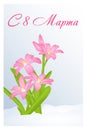 Beautiful congratulation or greeting card for women`s day with Chionodoxa in snow. Russian translation: 8 March. Holiday