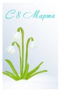 Beautiful congratulation or greeting card for women`s day with Leucojum in snow. Russian translation: 8 March. Holiday