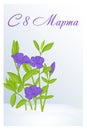Beautiful congratulation or greeting card for women`s day with Periwinkle in snow. Russian translation: 8 March. Holiday greetings