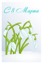 Beautiful congratulation or greeting card for women`s day with SnowDrops in snow. Russian translation: 8 March. Holiday greetings