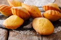 Beautiful cookies shell Madeleine close-up on the table. Horizon Royalty Free Stock Photo