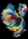 Beautiful and cool colorful Betta fish pop art for decoration