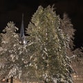 Winter night at Stadsparken in LuleÃÂ¥ Royalty Free Stock Photo