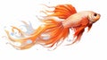 Beautiful Copper Orange Fish With Long Tail In Yuumei Style