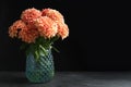 Beautiful coral dahlia flowers in vase on table against black background. Space for text Royalty Free Stock Photo