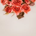 Beautiful coral mini roses on a smoky gray background