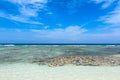 Beautiful coral near the tropical beach at Freedom beach, Koh Ta